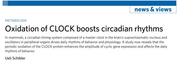 創(chuàng)工快報 66期 03