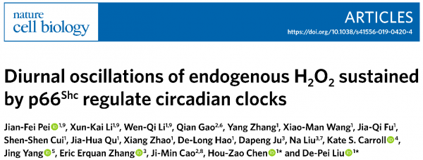 創(chuàng)工快報 66期 01