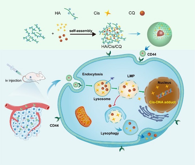 圖2- 創(chuàng)新工程進展快報第247期.jpg