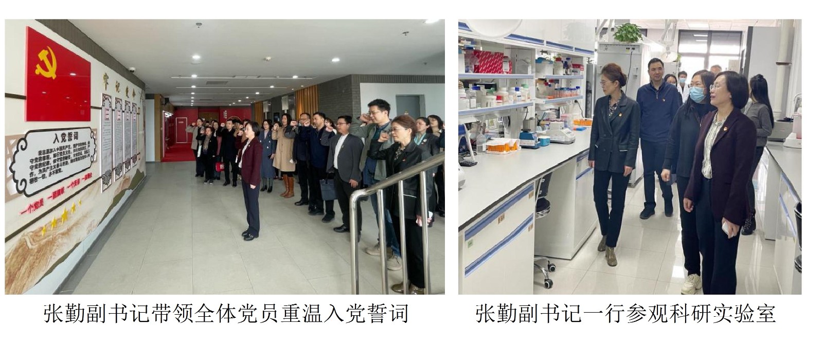 張勤副書記帶領(lǐng)全體黨員重溫入黨誓詞張勤副書記一行參觀科研實(shí)驗(yàn)室.jpg