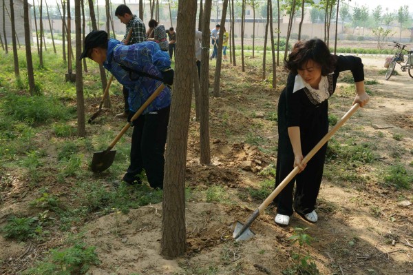 植樹2